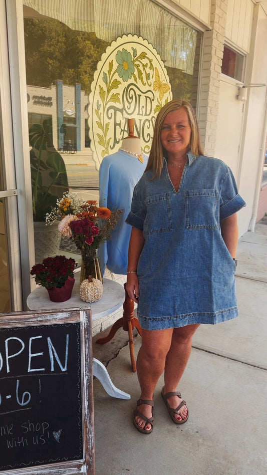Dreaming of Denim Dress
